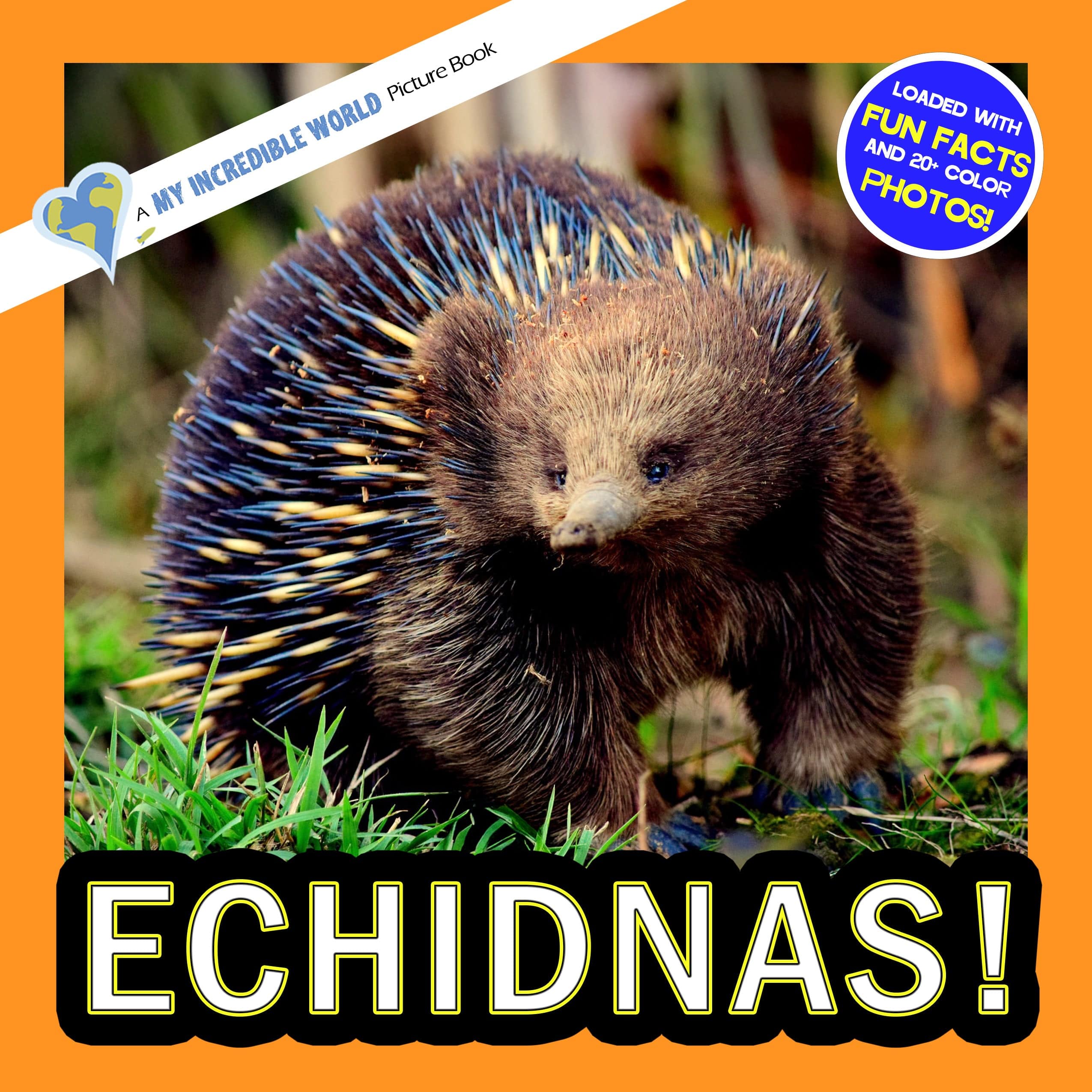 Echidnas! A My Incredible World Picture Book for Children